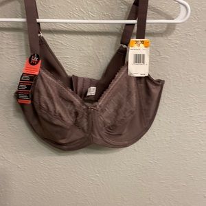 Lilyette bra size 38DD